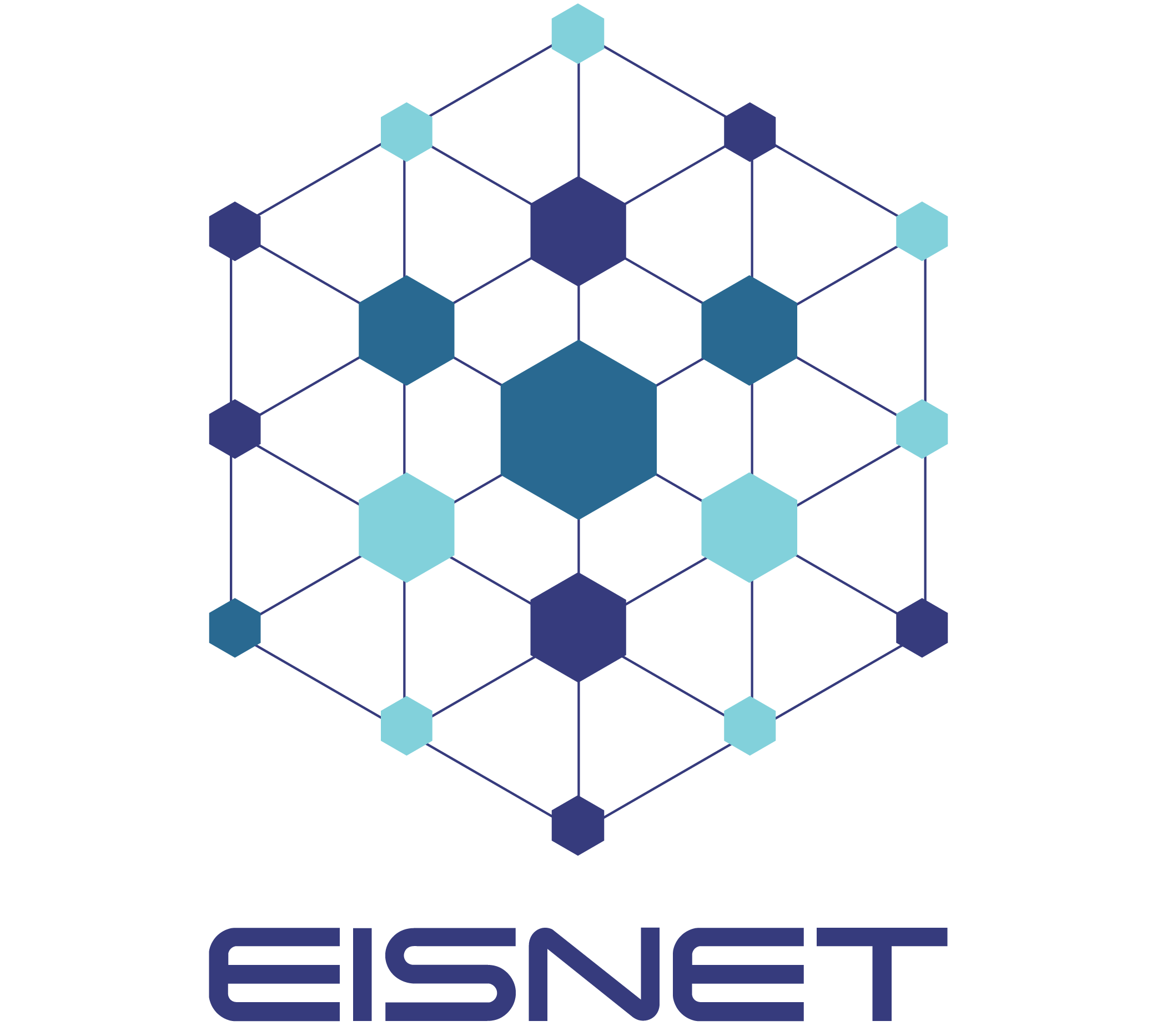 EISNET Logo